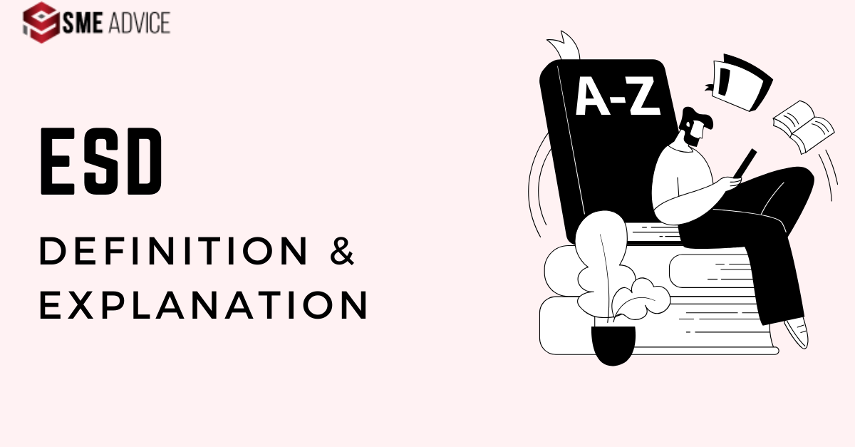 Enterprise and Supplier Development (ESD) Explained SME Advice